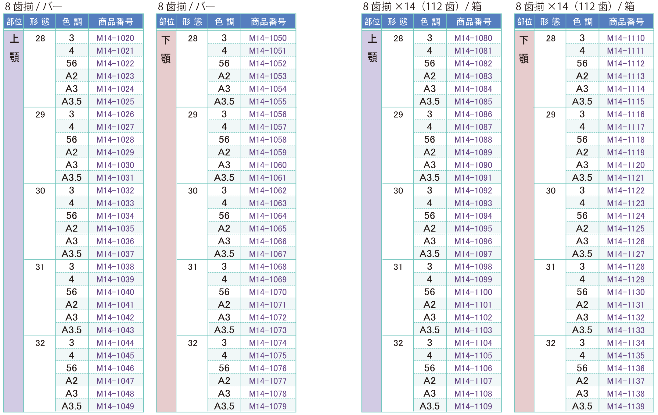 人工歯１２