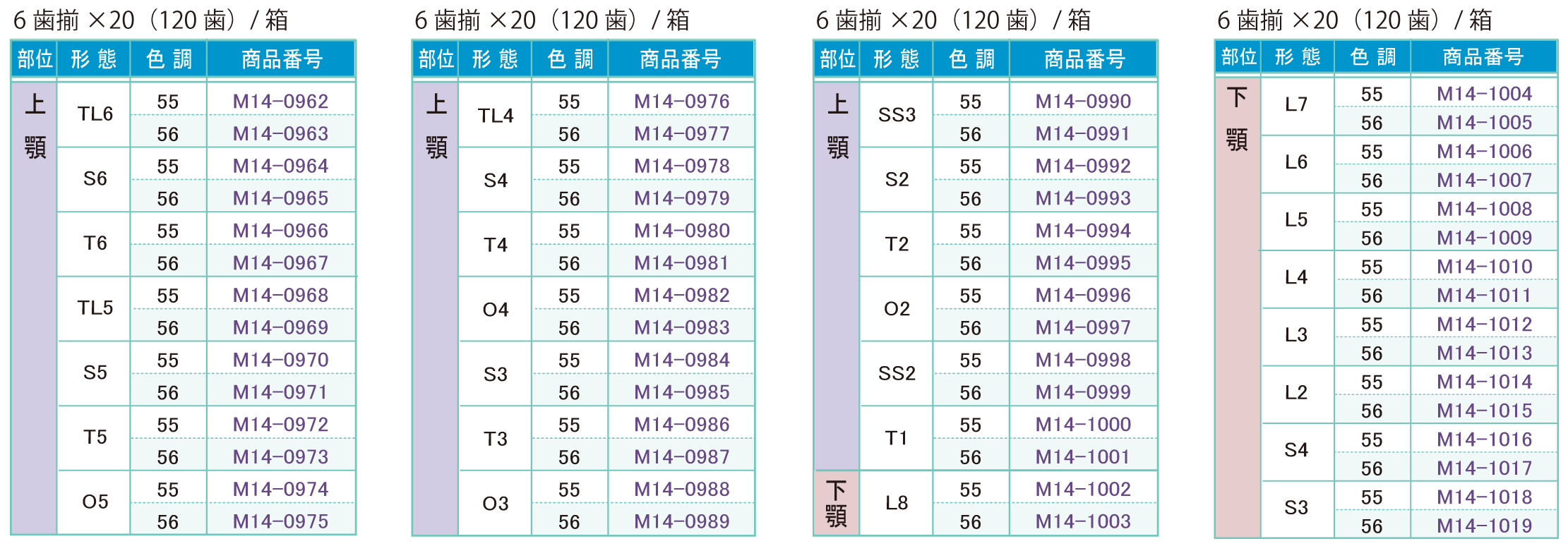 人工歯１６