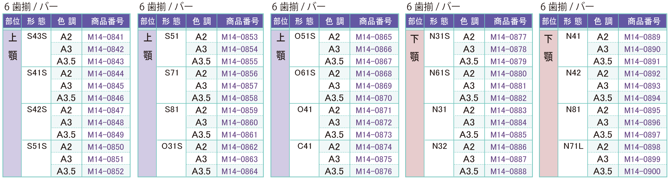 人工歯１１