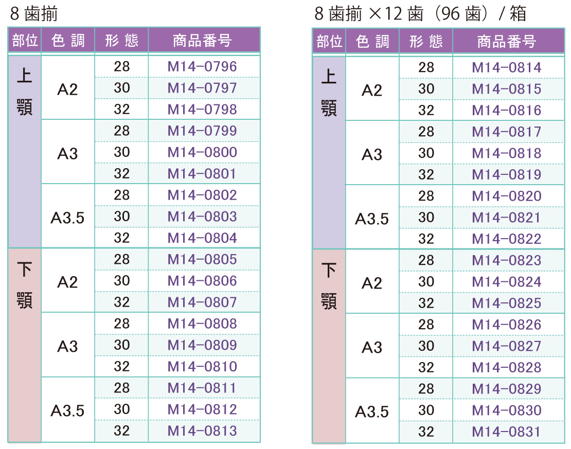 人工歯８