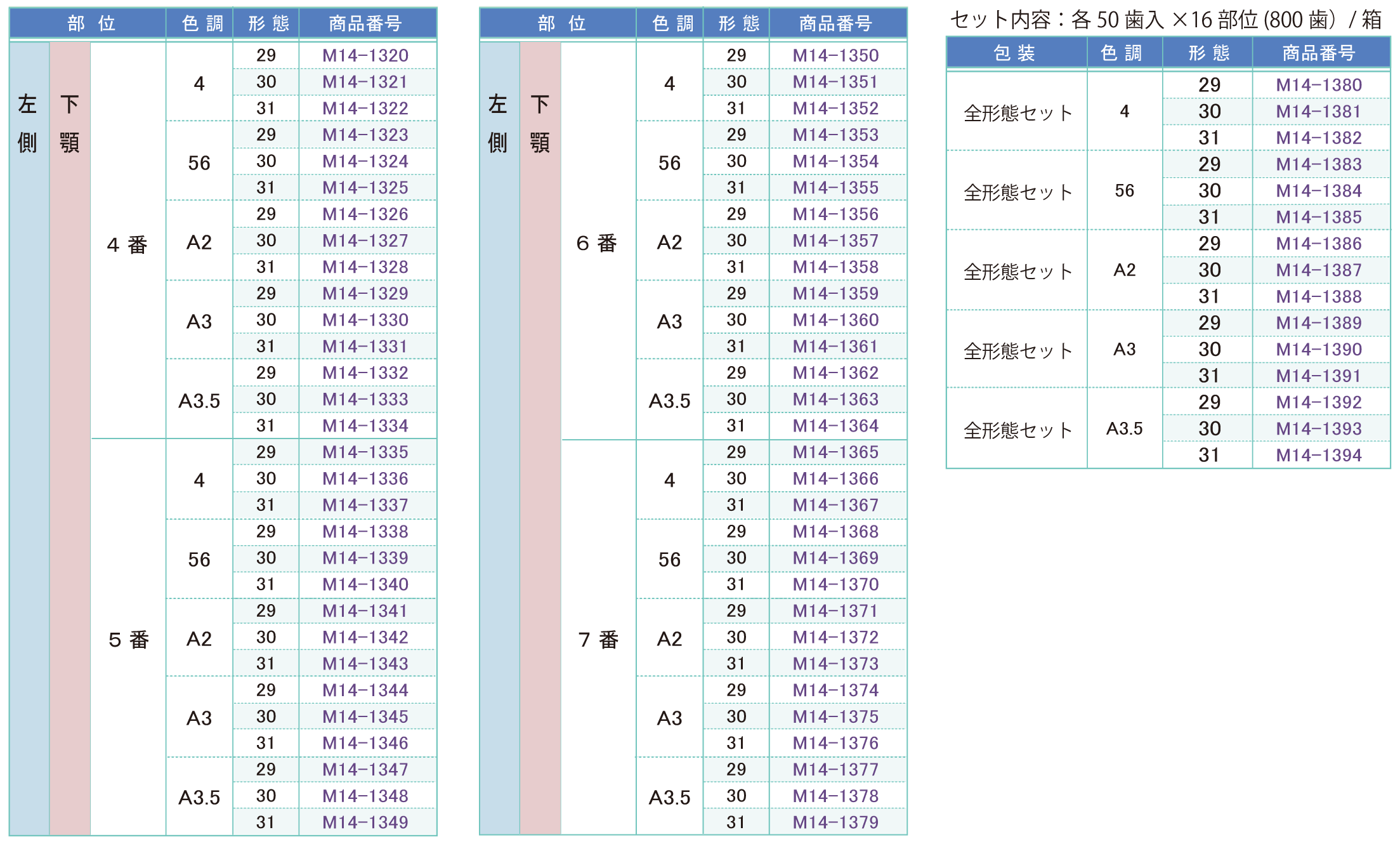 人工歯１４